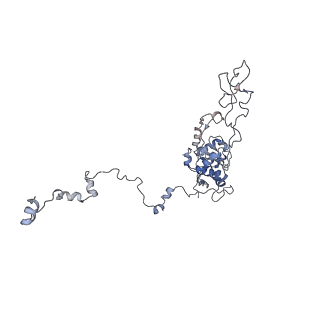 10398_6t83_Cy_v1-2
Structure of yeast disome (di-ribosome) stalled on poly(A) tract.