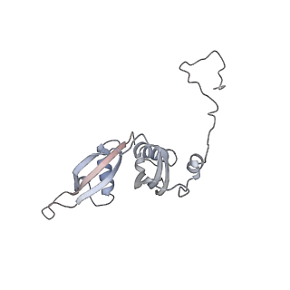 10398_6t83_D_v1-2
Structure of yeast disome (di-ribosome) stalled on poly(A) tract.