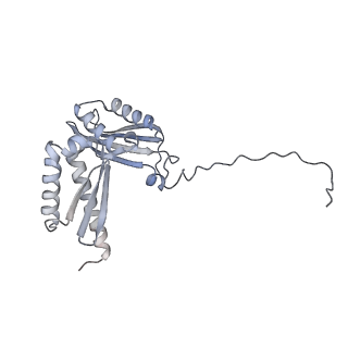 10398_6t83_Db_v1-2
Structure of yeast disome (di-ribosome) stalled on poly(A) tract.