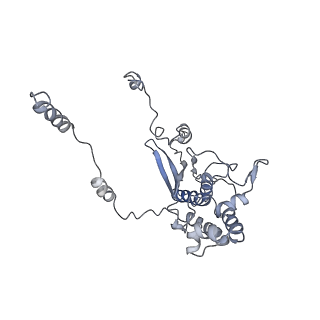 10398_6t83_Dy_v1-2
Structure of yeast disome (di-ribosome) stalled on poly(A) tract.