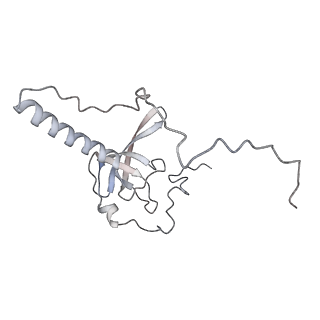10398_6t83_E_v1-2
Structure of yeast disome (di-ribosome) stalled on poly(A) tract.