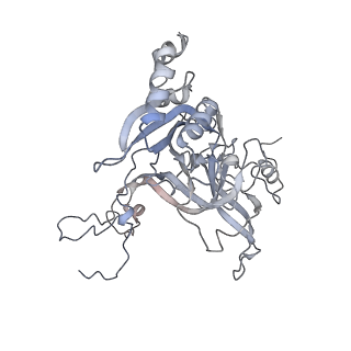 10398_6t83_Ea_v1-2
Structure of yeast disome (di-ribosome) stalled on poly(A) tract.