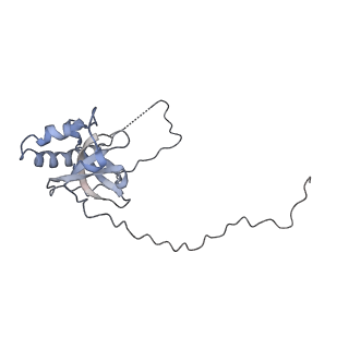 10398_6t83_Ey_v1-2
Structure of yeast disome (di-ribosome) stalled on poly(A) tract.