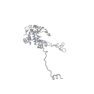 10398_6t83_Fa_v1-2
Structure of yeast disome (di-ribosome) stalled on poly(A) tract.