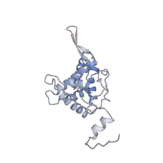 10398_6t83_Fb_v1-2
Structure of yeast disome (di-ribosome) stalled on poly(A) tract.