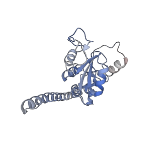 10398_6t83_Fy_v1-2
Structure of yeast disome (di-ribosome) stalled on poly(A) tract.