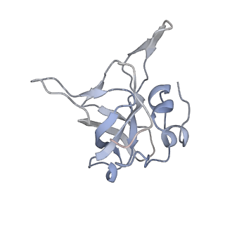 10398_6t83_G_v1-2
Structure of yeast disome (di-ribosome) stalled on poly(A) tract.