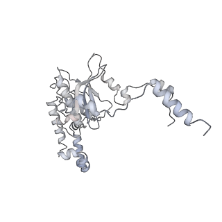 10398_6t83_Ga_v1-2
Structure of yeast disome (di-ribosome) stalled on poly(A) tract.