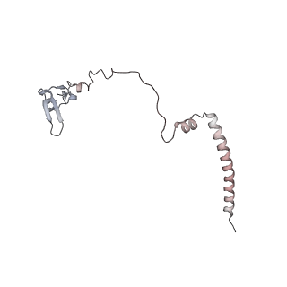 10398_6t83_H_v1-2
Structure of yeast disome (di-ribosome) stalled on poly(A) tract.