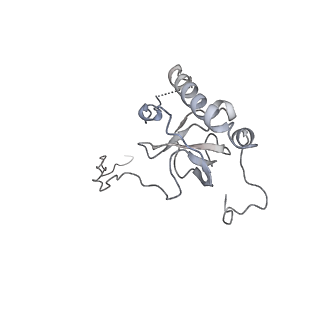 10398_6t83_Ha_v1-2
Structure of yeast disome (di-ribosome) stalled on poly(A) tract.