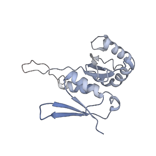 10398_6t83_Hb_v1-2
Structure of yeast disome (di-ribosome) stalled on poly(A) tract.