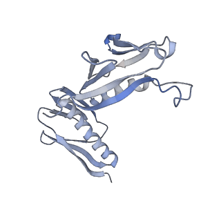 10398_6t83_Hy_v1-2
Structure of yeast disome (di-ribosome) stalled on poly(A) tract.