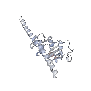 10398_6t83_Ia_v1-2
Structure of yeast disome (di-ribosome) stalled on poly(A) tract.