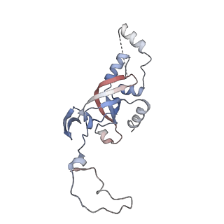 10398_6t83_Ib_v1-2
Structure of yeast disome (di-ribosome) stalled on poly(A) tract.