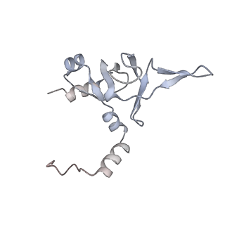 10398_6t83_J_v1-2
Structure of yeast disome (di-ribosome) stalled on poly(A) tract.