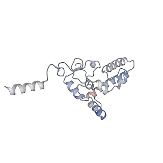 10398_6t83_Jb_v1-2
Structure of yeast disome (di-ribosome) stalled on poly(A) tract.