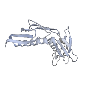 10398_6t83_Ka_v1-2
Structure of yeast disome (di-ribosome) stalled on poly(A) tract.