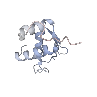 10398_6t83_Kb_v1-2
Structure of yeast disome (di-ribosome) stalled on poly(A) tract.