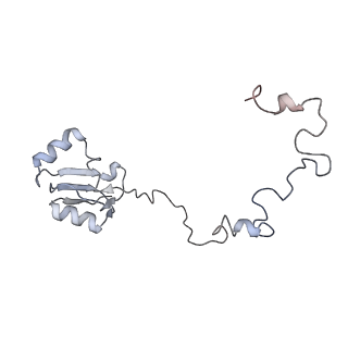 10398_6t83_L_v1-2
Structure of yeast disome (di-ribosome) stalled on poly(A) tract.
