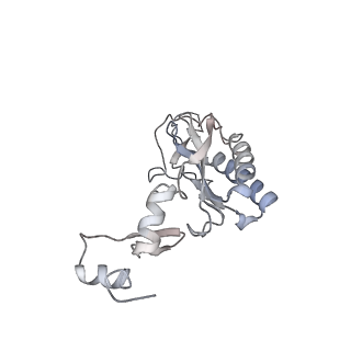 10398_6t83_La_v1-2
Structure of yeast disome (di-ribosome) stalled on poly(A) tract.