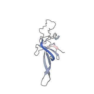 10398_6t83_Lb_v1-2
Structure of yeast disome (di-ribosome) stalled on poly(A) tract.