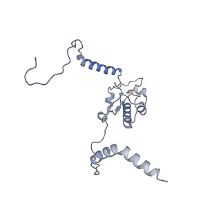 10398_6t83_Ly_v1-2
Structure of yeast disome (di-ribosome) stalled on poly(A) tract.