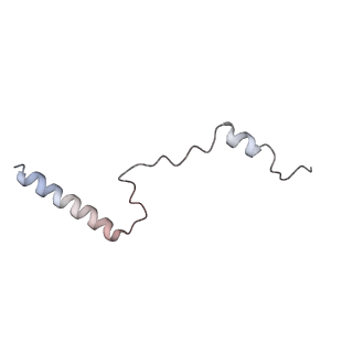 10398_6t83_M_v1-2
Structure of yeast disome (di-ribosome) stalled on poly(A) tract.