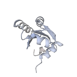 10398_6t83_N_v1-2
Structure of yeast disome (di-ribosome) stalled on poly(A) tract.