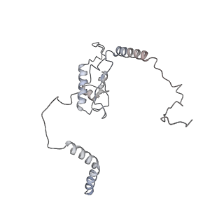 10398_6t83_Na_v1-2
Structure of yeast disome (di-ribosome) stalled on poly(A) tract.