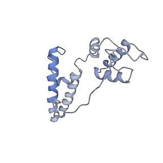 10398_6t83_Nb_v1-2
Structure of yeast disome (di-ribosome) stalled on poly(A) tract.