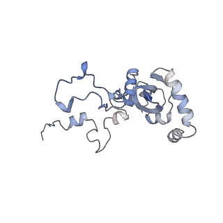 10398_6t83_Ny_v1-2
Structure of yeast disome (di-ribosome) stalled on poly(A) tract.