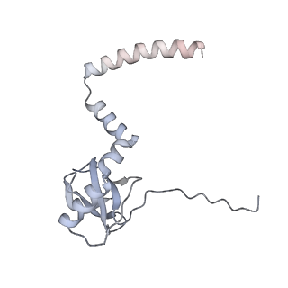 10398_6t83_Oa_v1-2
Structure of yeast disome (di-ribosome) stalled on poly(A) tract.