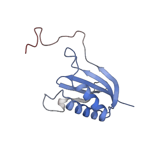 10398_6t83_Ob_v1-2
Structure of yeast disome (di-ribosome) stalled on poly(A) tract.
