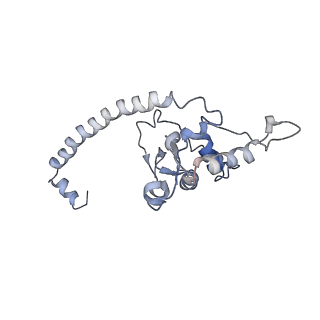 10398_6t83_Oy_v1-2
Structure of yeast disome (di-ribosome) stalled on poly(A) tract.