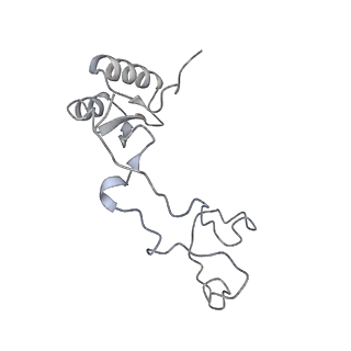 10398_6t83_P_v1-2
Structure of yeast disome (di-ribosome) stalled on poly(A) tract.