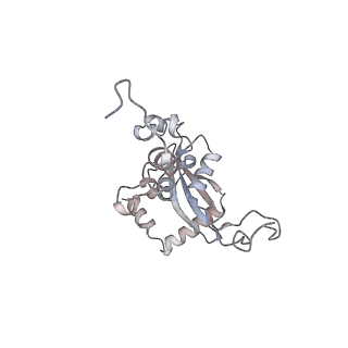 10398_6t83_Pa_v1-2
Structure of yeast disome (di-ribosome) stalled on poly(A) tract.