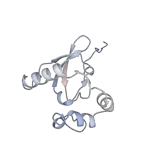 10398_6t83_Pb_v1-2
Structure of yeast disome (di-ribosome) stalled on poly(A) tract.