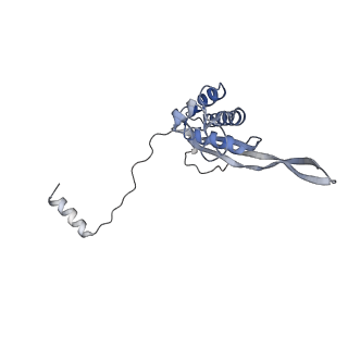 10398_6t83_Py_v1-2
Structure of yeast disome (di-ribosome) stalled on poly(A) tract.