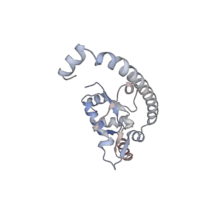 10398_6t83_Qa_v1-2
Structure of yeast disome (di-ribosome) stalled on poly(A) tract.