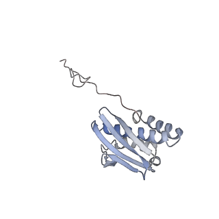 10398_6t83_Qb_v1-2
Structure of yeast disome (di-ribosome) stalled on poly(A) tract.