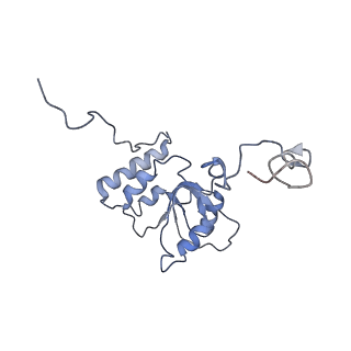 10398_6t83_Qy_v1-2
Structure of yeast disome (di-ribosome) stalled on poly(A) tract.