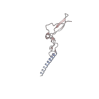 10398_6t83_R_v1-2
Structure of yeast disome (di-ribosome) stalled on poly(A) tract.