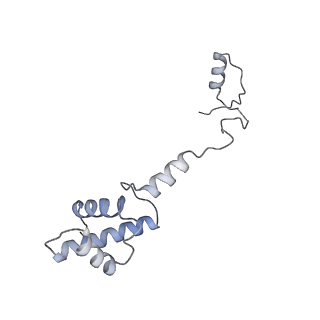 10398_6t83_Rb_v1-2
Structure of yeast disome (di-ribosome) stalled on poly(A) tract.