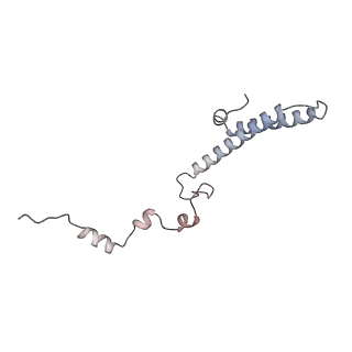 10398_6t83_S_v1-2
Structure of yeast disome (di-ribosome) stalled on poly(A) tract.