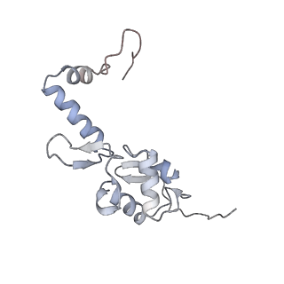 10398_6t83_Sb_v1-2
Structure of yeast disome (di-ribosome) stalled on poly(A) tract.