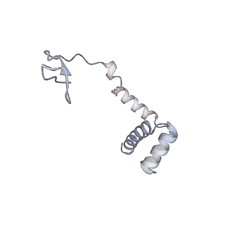 10398_6t83_T_v1-2
Structure of yeast disome (di-ribosome) stalled on poly(A) tract.