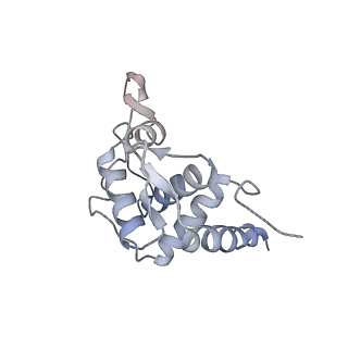 10398_6t83_Tb_v1-2
Structure of yeast disome (di-ribosome) stalled on poly(A) tract.
