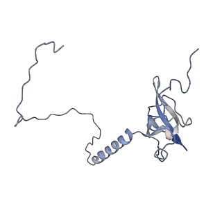 10398_6t83_Ty_v1-2
Structure of yeast disome (di-ribosome) stalled on poly(A) tract.