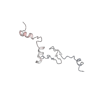 10398_6t83_U_v1-2
Structure of yeast disome (di-ribosome) stalled on poly(A) tract.