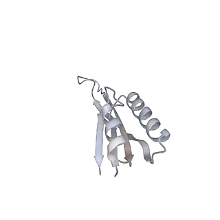 10398_6t83_Ub_v1-2
Structure of yeast disome (di-ribosome) stalled on poly(A) tract.